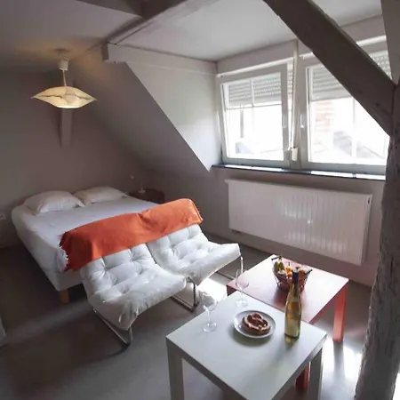Apartamento La Cour De Berthe Est Colmar