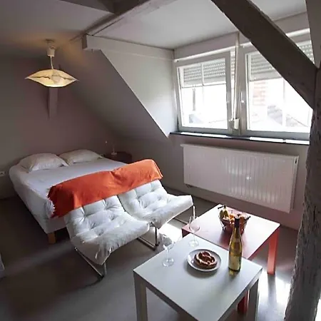 Apartamento La Cour De Berthe Est Colmar