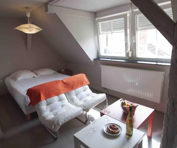 Apartamento La Cour De Berthe Est Colmar